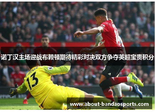 诺丁汉主场迎战布赖顿期待精彩对决双方争夺英超宝贵积分